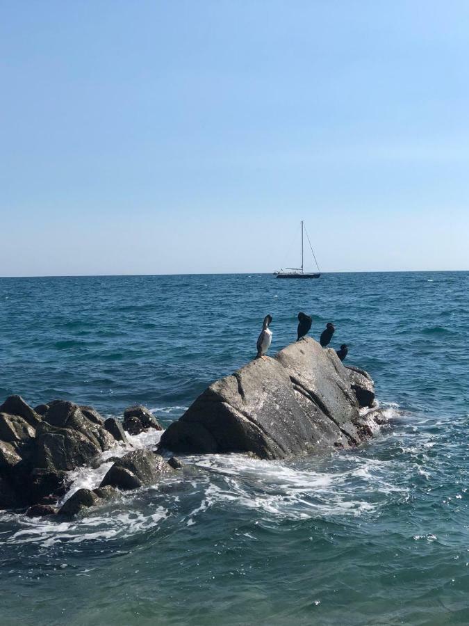 White Stones Beach In Sant Pol De Mar Buitenkant foto